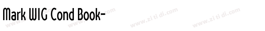 Mark W1G Cond Book字体转换